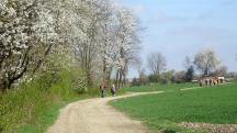  Blick auf die Wanderstrecke 
